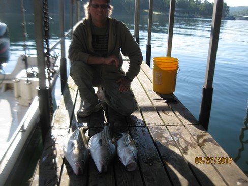 Nice Striped Bass